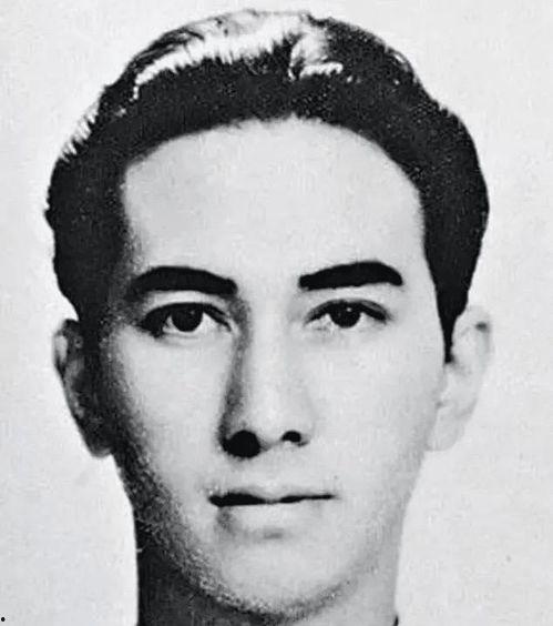 何鸿燊年轻照片,何鸿燊年轻时代的风采瞬间